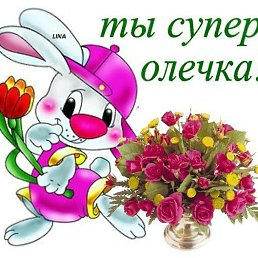 �����, ��������, 48 ���