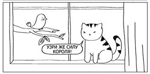 Котизм телеграмм. Узри мою силу.