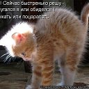 ���� �����, ������� ������ - ��������� 1 ������ 2014 � ������ ������ ��������