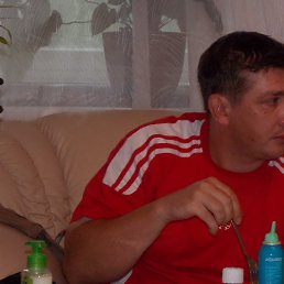 �������, ���������, 41 ���