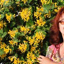 ����� ��������...... �� ������� ���� ����������