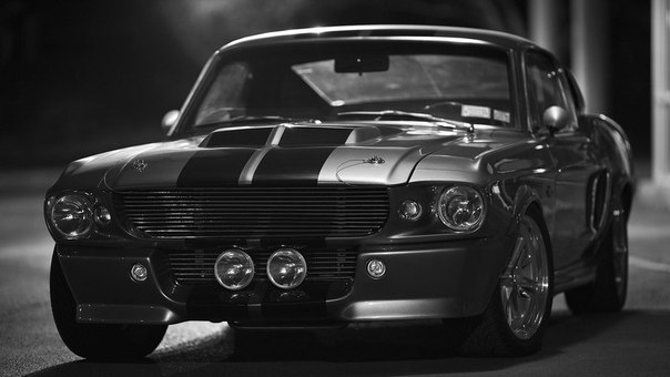 Ford Mustang GT500 Shelby Eleanor    60-.,      ... - 3