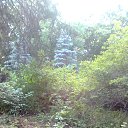 ���� ������, �������, 75 ��� - ��������� 7 ������� 2014 � ������ ���� ����������