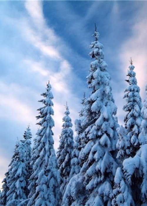 Art & Fun - 4 декабря 2014 в 13:04 - 4