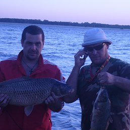 ���� ������, ������, 56 ��� - ��������� 5 �������� 2014