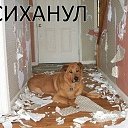 ���� ������, ������, 53 ���� - ��������� 28 �������� 2014 � ������ ������ ��������