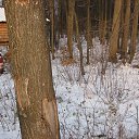 ���� ������, ���������� �����, 45 ��� - ��������� 19 ������ 2014 � ������ ���� ����������