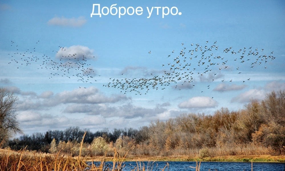 ����� ������� - 4 ������ 2014 � 11:51 - 3