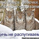 ���� �������, ��������-��-������, 48 ��� - ��������� 10 ������ 2014 � ������ ������ ��������