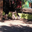 � �����!!!))) �� ������� ���� ����������