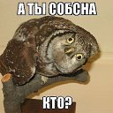 ���� *�������, ���������, 59 ��� - ��������� 5 ������� 2014 � ������ ������ ��������