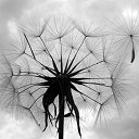 ���� 03simona, �����, 49 ��� - ��������� 2 ������� 2014 � ������ ������ ��������