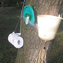  Skoj,  -  28  2014      !