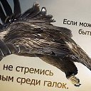 ���� &spades;D&spades;, �������� - ��������� 4 ������� 2014 � ������ ������ ��������