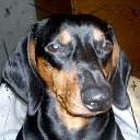 ���� ������, �������, 54 ���� - ��������� 21 ������� 2014 � ������ ����