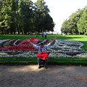 ���� Tarik, ������, 66 ��� - ��������� 7 �������� 2014