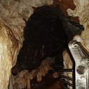  Vadik, -, 65  -  3  2014   Grotte di Toirano (  )