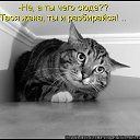 ���� ����������, ������, 49 ��� - ��������� 29 �������� 2014 � ������ ������ ��������