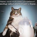 ���� ���� ������, ������, 59 ��� - ��������� 31 ������� 2014 � ������ ������ ��������