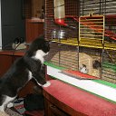 ���� ������, �����-���������, 46 ��� - ��������� 31 ������� 2014 � ������ ���� ����������