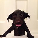 ���� ���� ������, ������, 59 ��� - ��������� 17 �������� 2014 � ������ ���� ����������