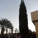 ���� ������, �������, 63 ���� - ��������� 19 �������� 2014 � ������ ���� ����������