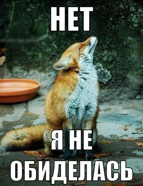 .�������. - 24 ������� 2014 � 17:36