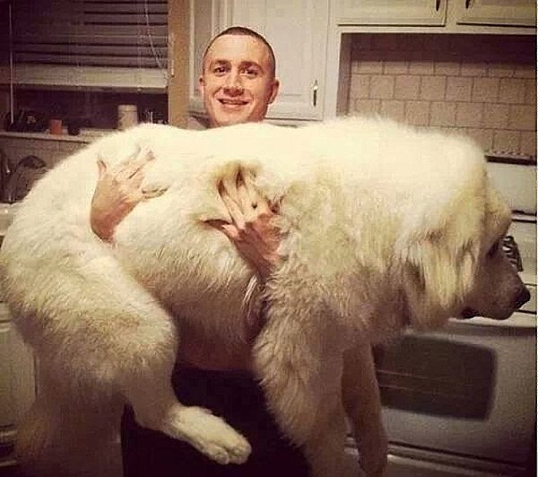 tumblr - 7 ������� 2014 � 23:55