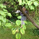 ������ ������� ������ 2014�.