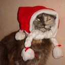 ���� Lenok, ������ - ��������� 27 ������ 2014 � ������ ���� ����������