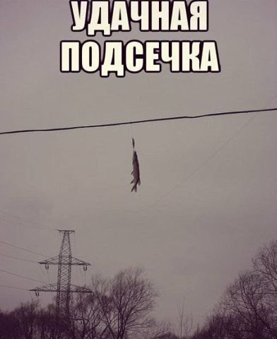 ����� ������� - 4 ������ 2014 � 11:51 - 2