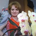 ��� �����