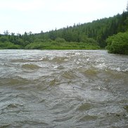 ������, 49 ���, �����