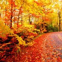 ���� �������, �����������, 61 ��� - ��������� 17 ������� 2014 � ������ ������ ��������