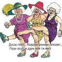 ���� �����, ��������� - ��������� 10 ������� 2014