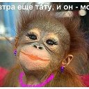 ���� �������, ����-���������, 53 ���� - ��������� 17 ������ 2014 � ������ ������ ��������