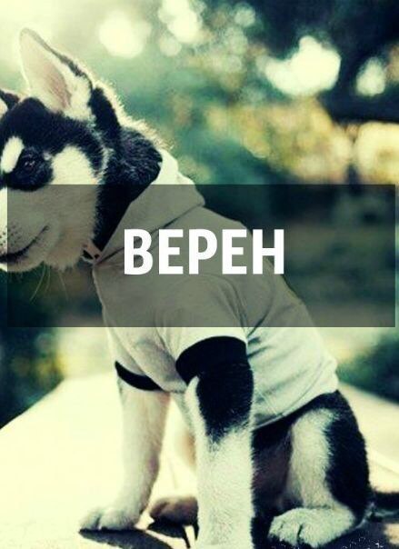 Just love. - 19  2014  01:02 - 5