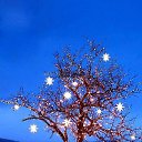 ���� Pilligrim, ���������, 71 ��� - ��������� 13 ������� 2014 � ������ ���� ����������