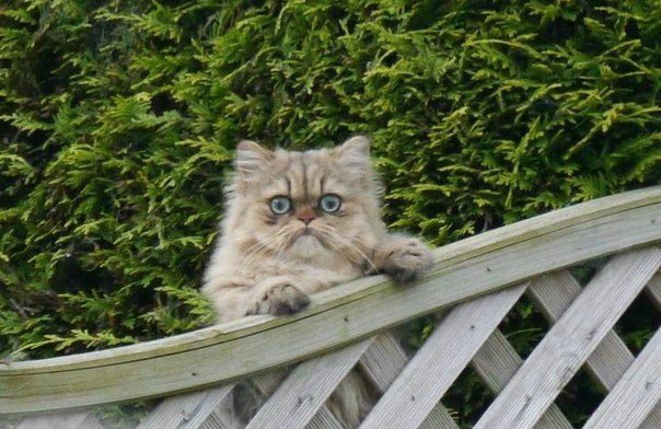 ���� ,������ ������ !!!