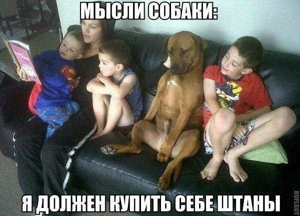   :D - 30  2014  17:39