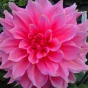 ���� �������, ����� - ��������� 20 �������� 2014 � ������ ������ ��������