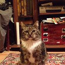 ���� ���������, ������, 35 ��� - ��������� 17 ������ 2014 � ������ ������ ��������