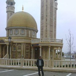 ���� ����, ���������, 54 ����