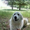 ��������!! �� ������� ���� ����������