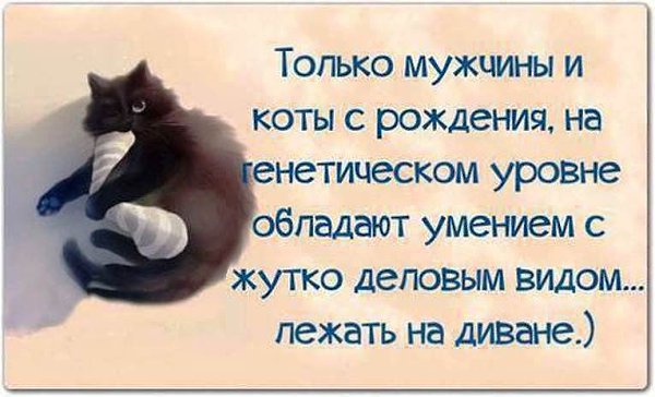  - 7  2014  21:18