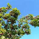 ���� �������, �����������, 74 ���� - ��������� 18 �������� 2014 � ������ �������� �������Ȼ