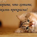 ���� �������, ������������ - ��������� 30 ������� 2014 � ������ ������ ��������