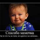 ���� �����, ������������ - ��������� 12 �������� 2014 � ������ ������ ��������