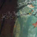 ���� ����, ���������� - ��������� 27 ������� 2014 � ������ ���� ����������