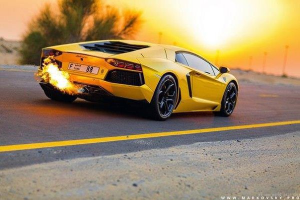 Lamborghini Murcilago & Aventador. - 2